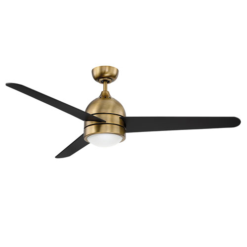 Zig New Aged Brass Led Ceiling Fan With Black Blades